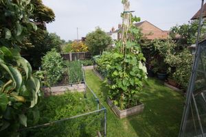 Vegetable Garden- click for photo gallery
